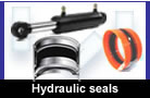 Hydraulic seals